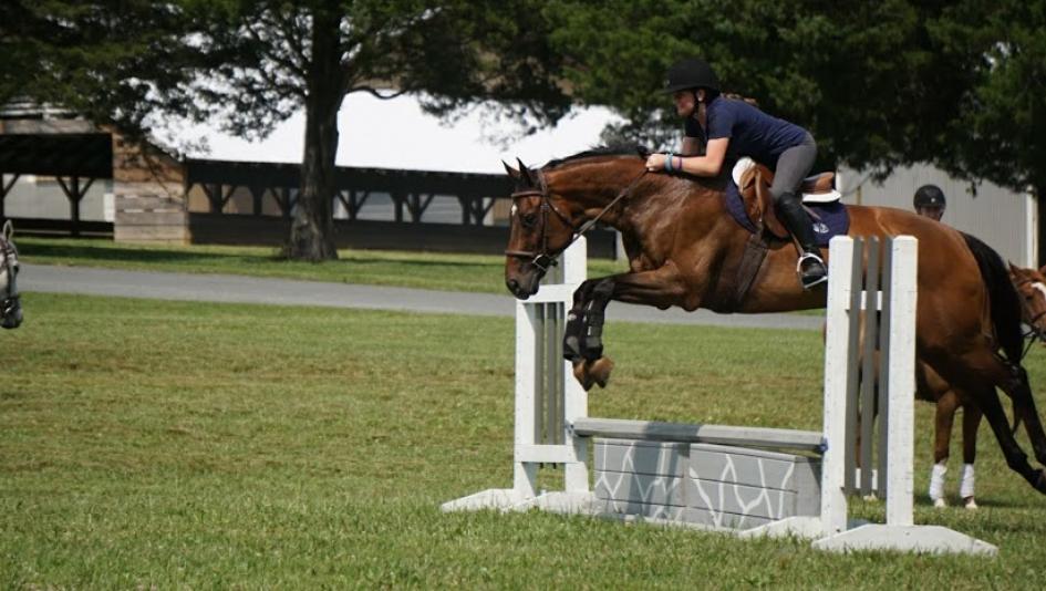 Jericho Call, MidAtlantic Horse Rescue, Christine McFadden, Thoroughbred Aftercare Alliance  